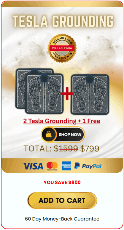 2 Tesla Grounding